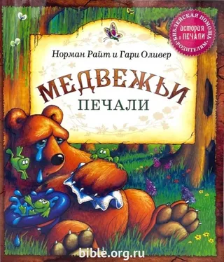 Обложка: Медвежьи печали