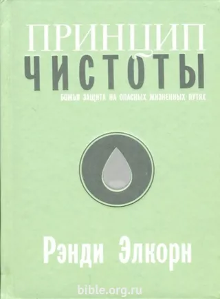 Обложка: Принцип чистоты